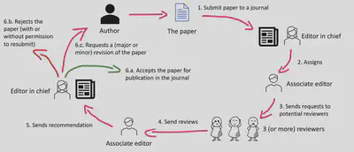 Processus de revue par les pairs